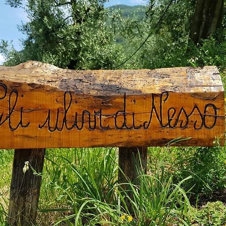 Gli Ulivi Di Nesso Villa Dış mekan fotoğraf