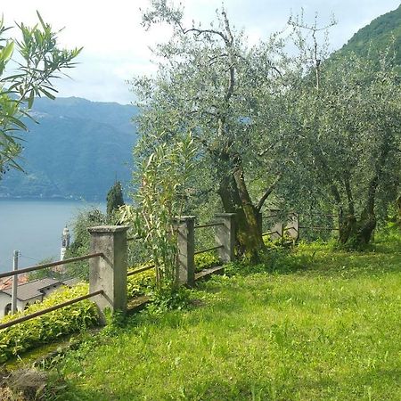Gli Ulivi Di Nesso Villa Dış mekan fotoğraf