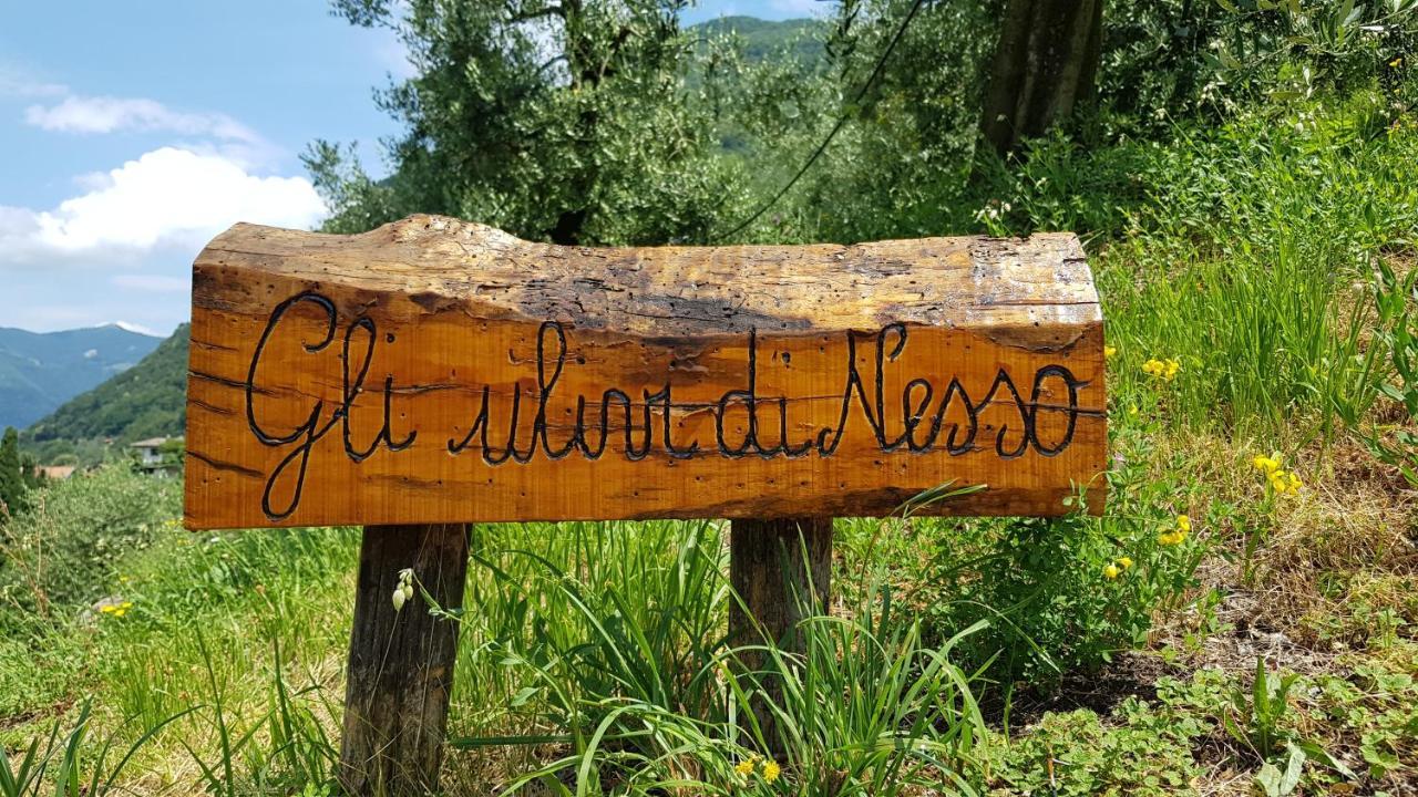 Gli Ulivi Di Nesso Villa Dış mekan fotoğraf