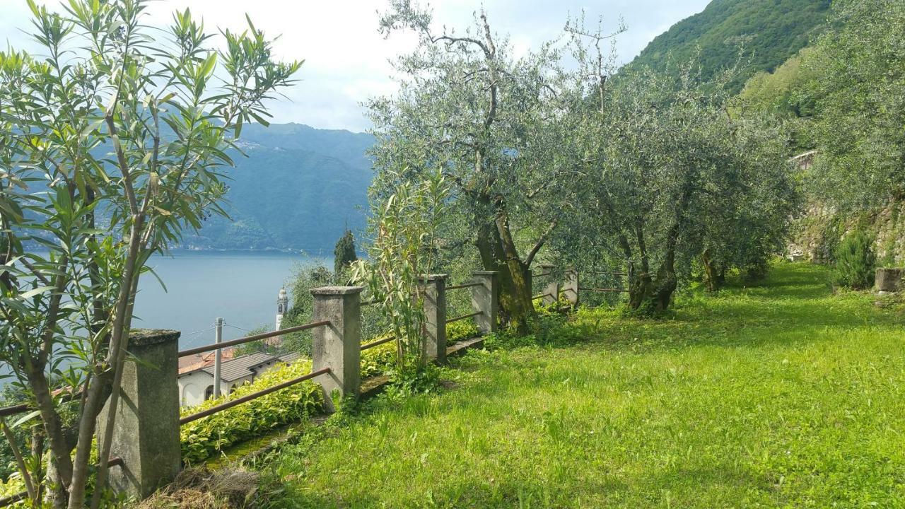 Gli Ulivi Di Nesso Villa Dış mekan fotoğraf