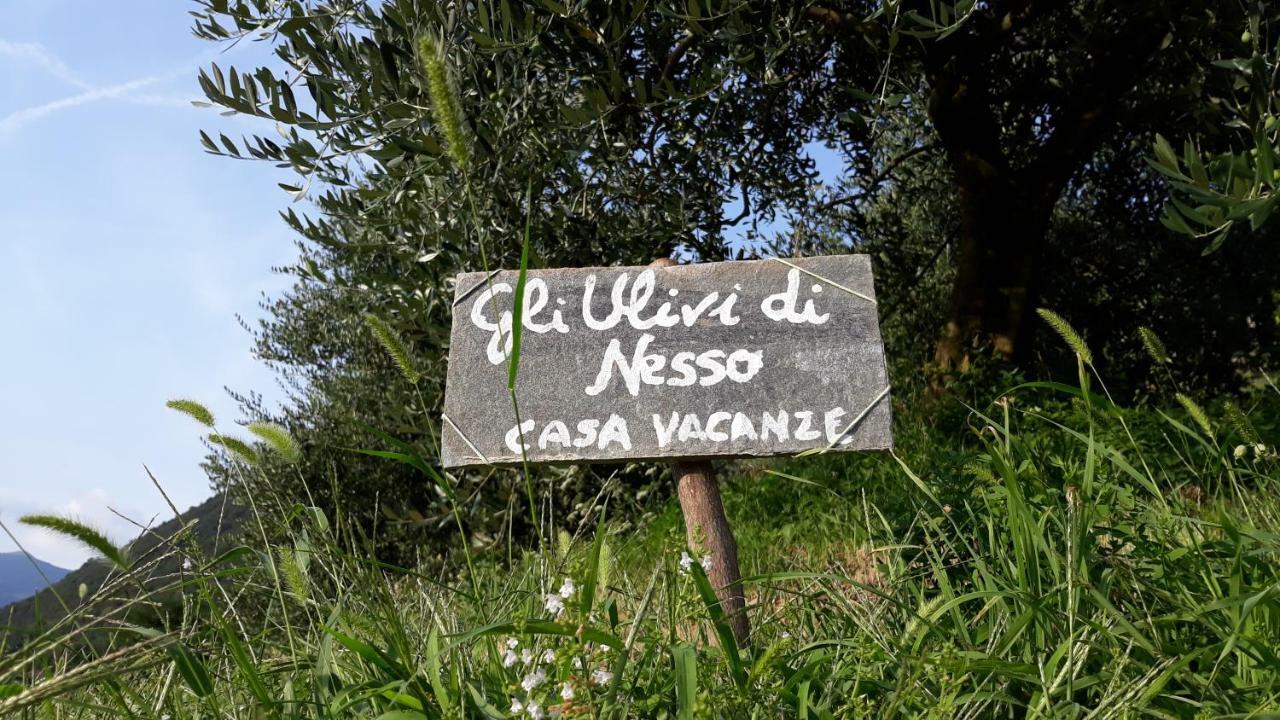 Gli Ulivi Di Nesso Villa Dış mekan fotoğraf